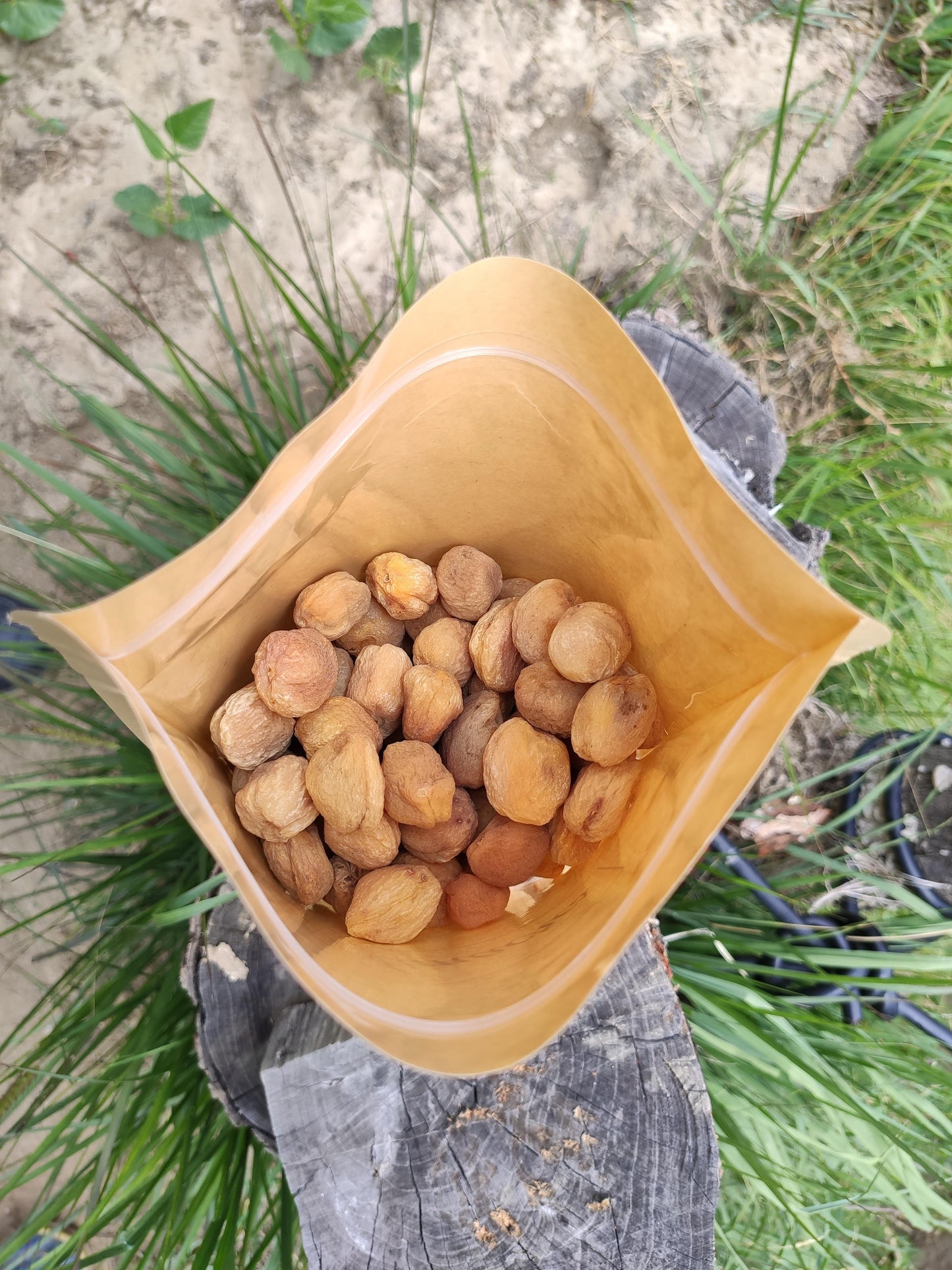 Premium Dried Apricots