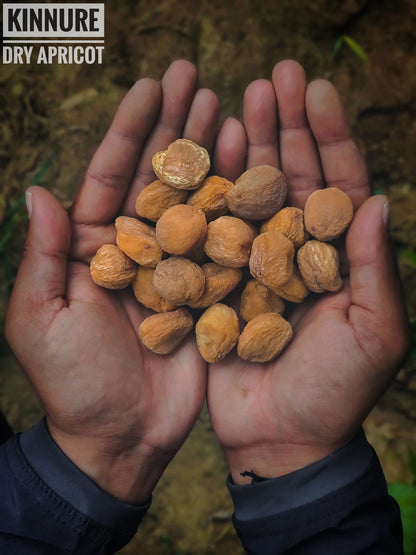 Premium Dried Apricots