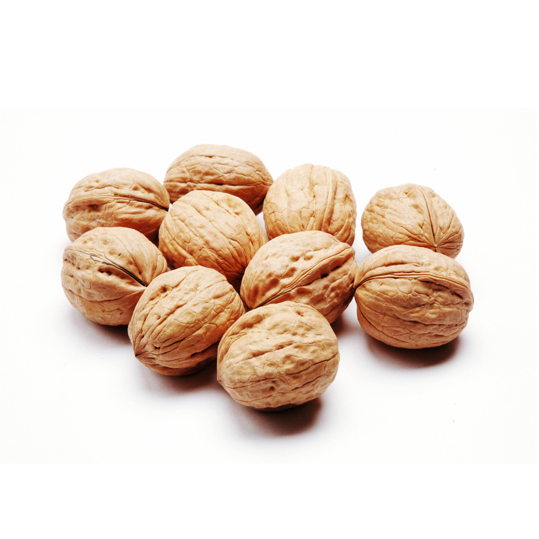 Walnut with Shell