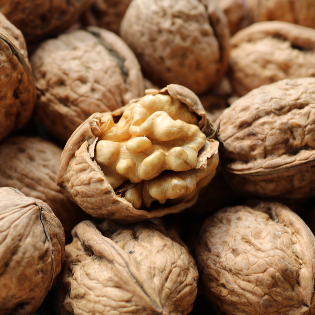 Walnut with Shell
