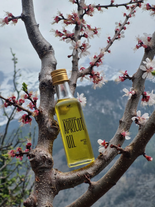 Apricot Kernel Oil